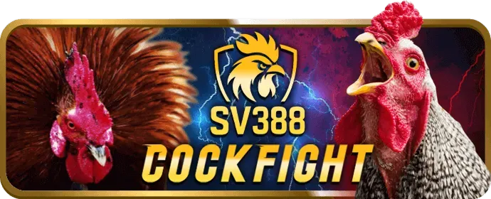 Đăng ký tài khoản 77 ball